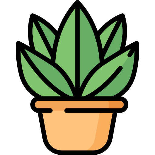 Plant illustration